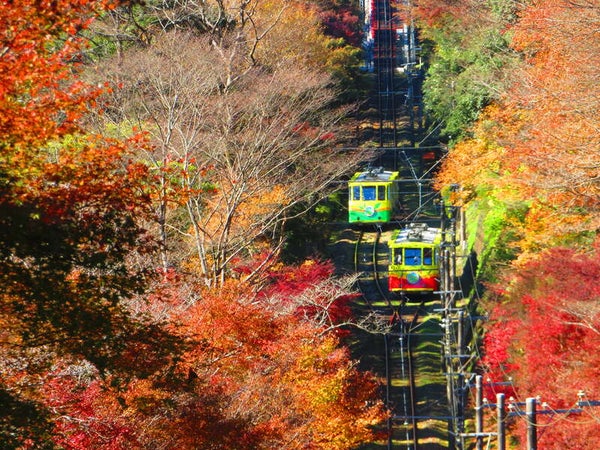 【勝田・水戸・石岡・土浦・牛久・龍ヶ崎市・取手・柏発】 よみうり貸切列車で行く!秋の高尾山ハイキング ~混雑を避けてらくらくJR高尾まで直行列車♪~3